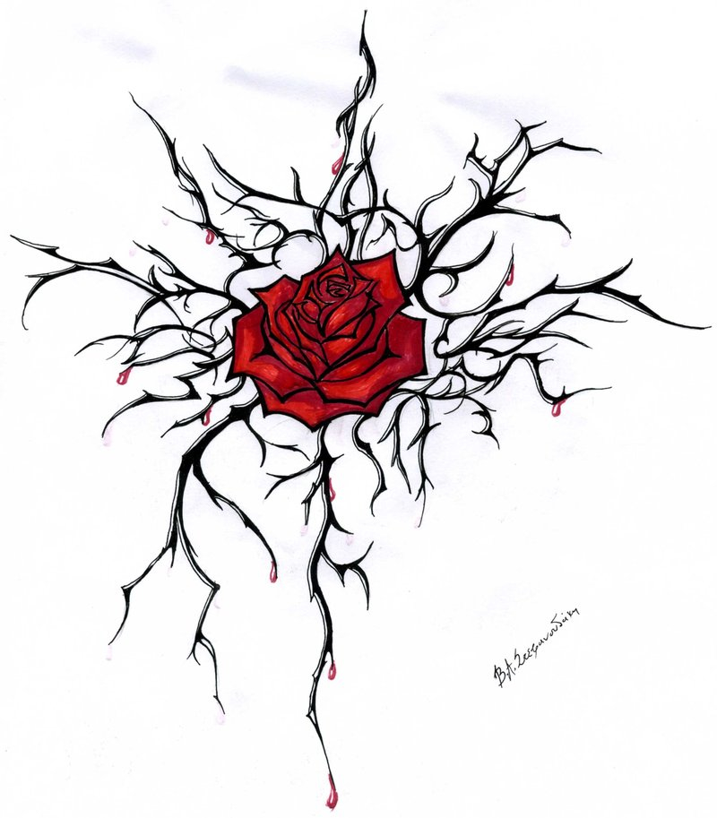 Rose Thorn Drawing at GetDrawings Free download