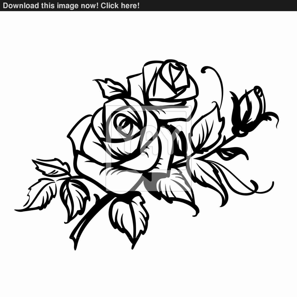 Rose With Thorns Drawing at GetDrawings | Free download