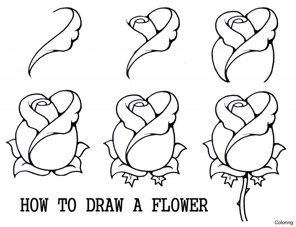 How to draw ANIMALS, Drawing Tutorial