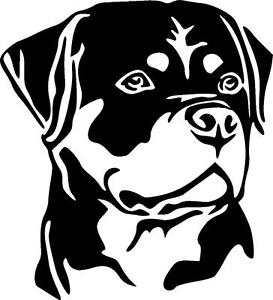 The best free Rottweiler drawing images. Download from 66 free drawings