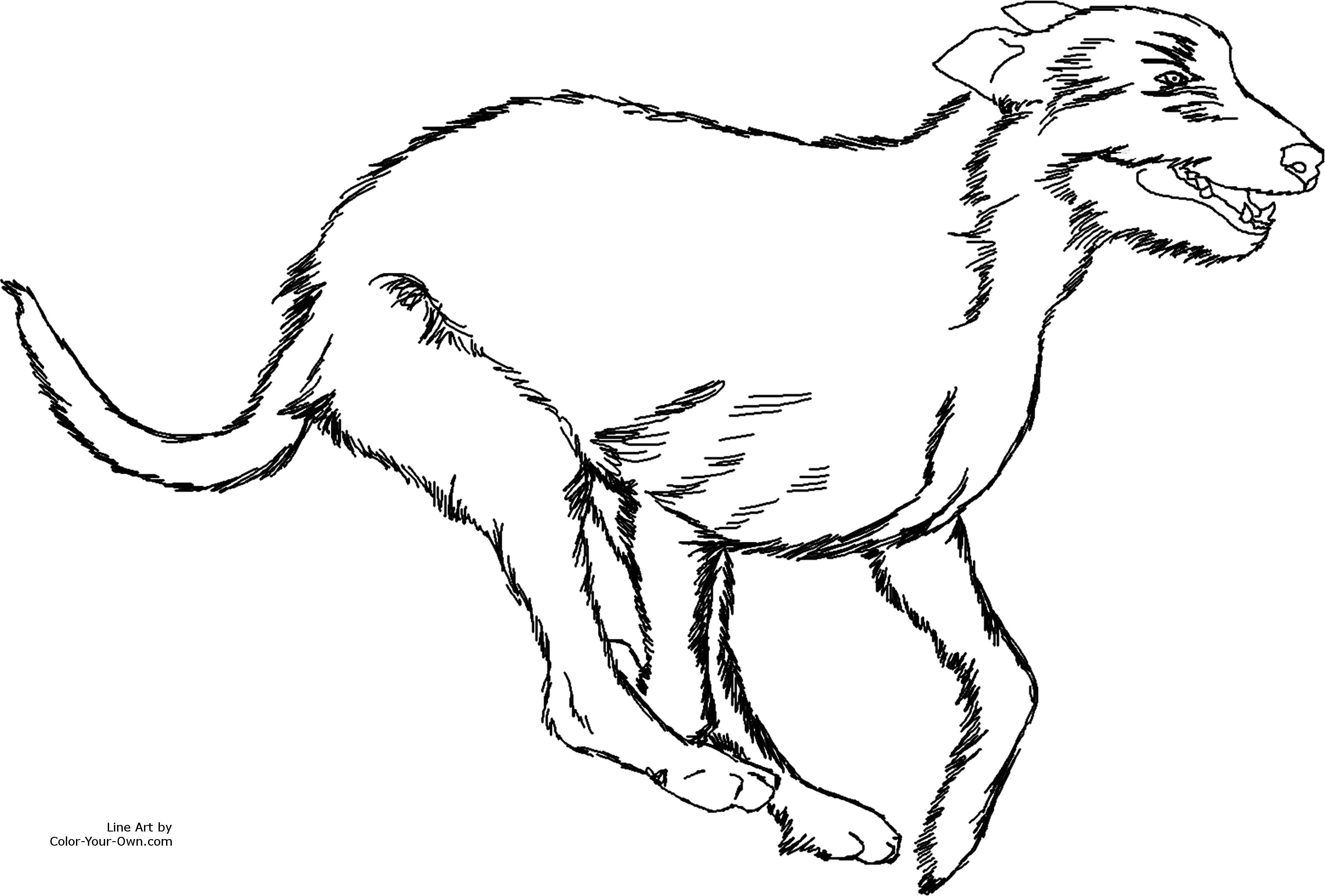 Running Dog Drawing at GetDrawings | Free download