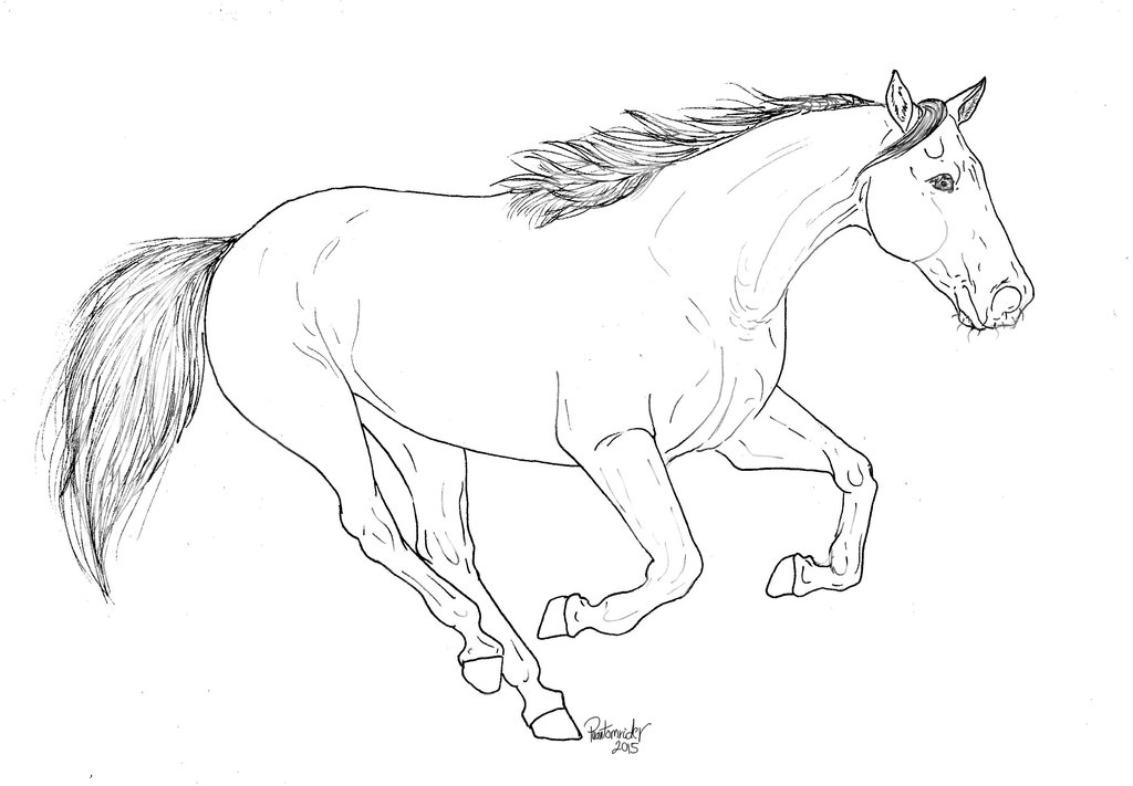 Running Horse Drawing at GetDrawings | Free download