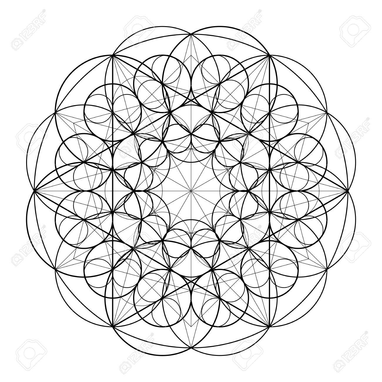 geometric circle drawing