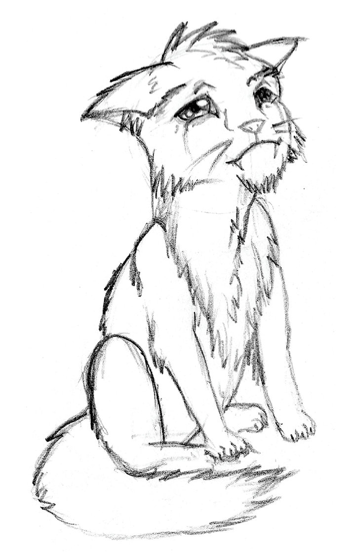 Sad Cat Drawing at GetDrawings Free download