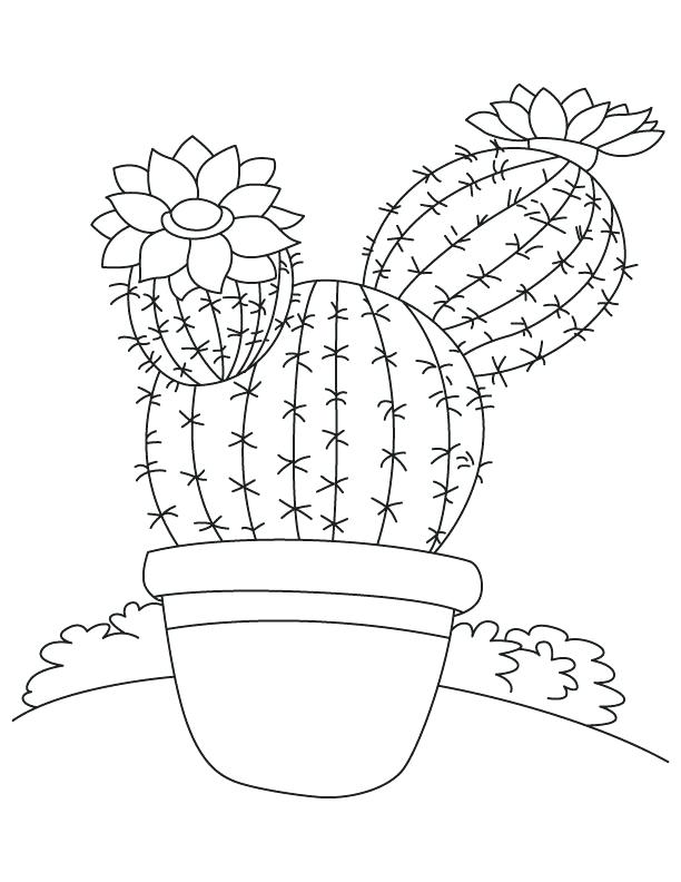 Saguaro Cactus Drawing at GetDrawings Free download