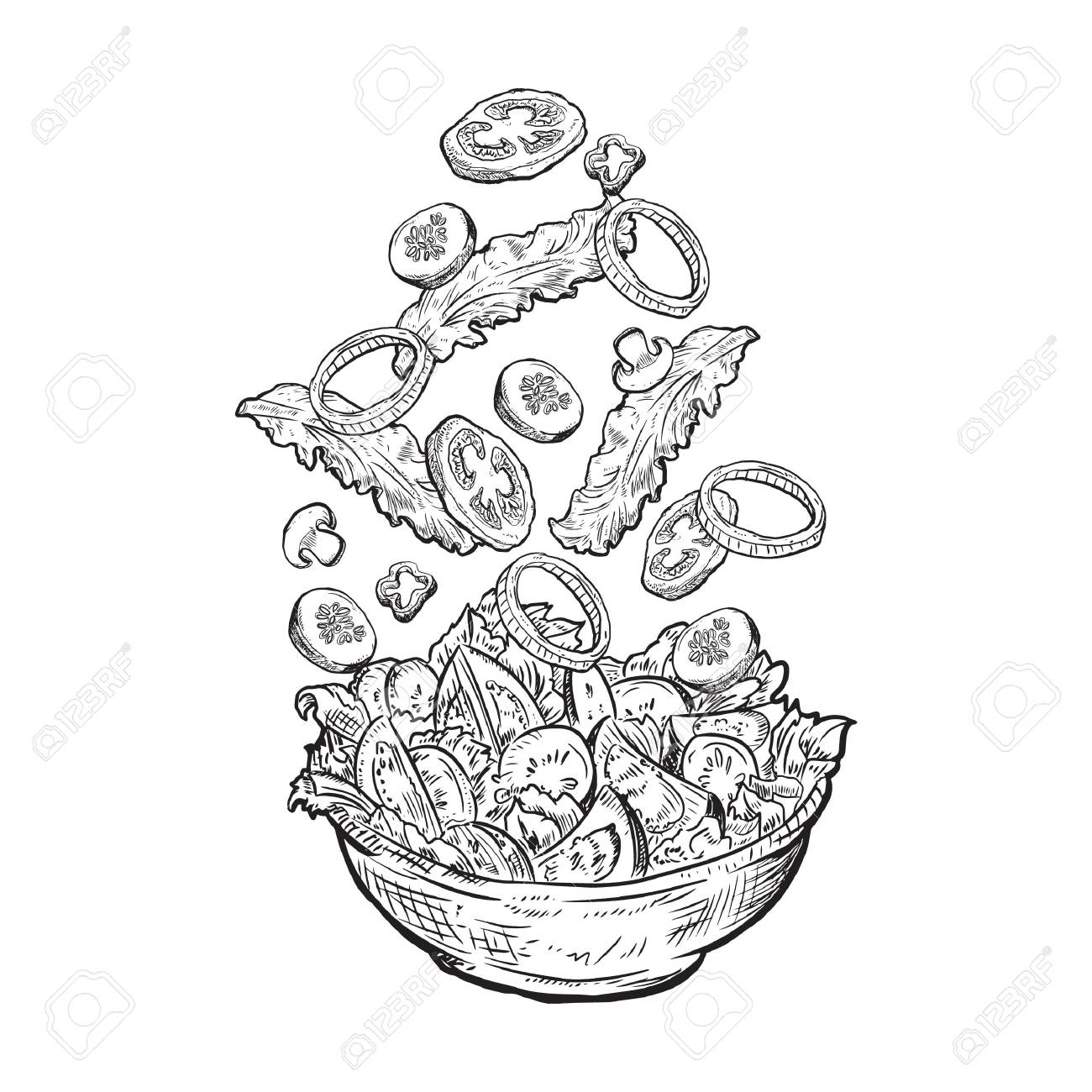 Salad Drawing at GetDrawings Free download