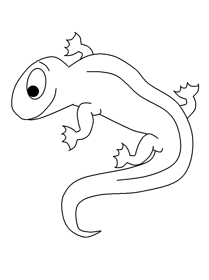 Salamander Drawing at GetDrawings | Free download