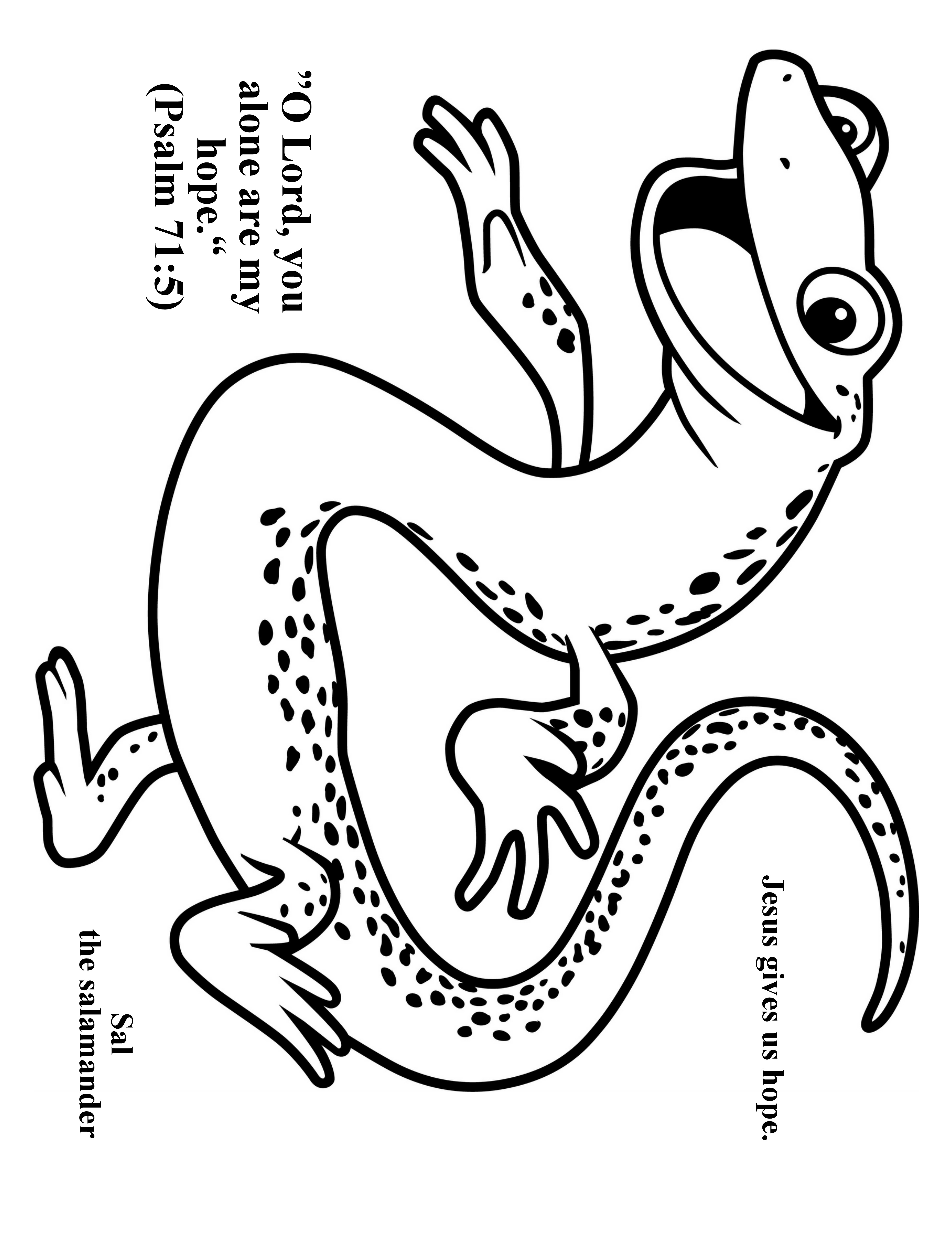salamander-drawing-coloring-pages