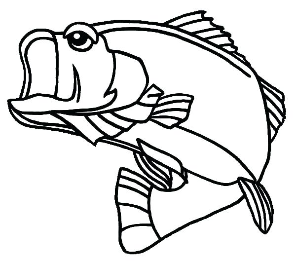 Saltwater Fish Drawing at GetDrawings | Free download