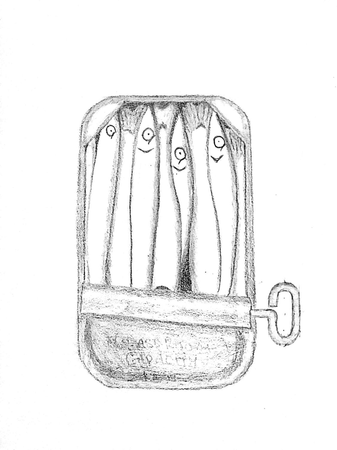 sardines-drawing-at-getdrawings-free-download