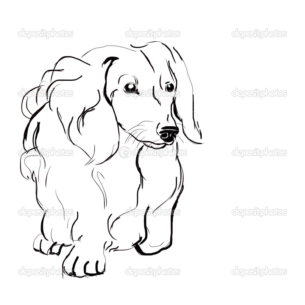 sausage-dog-drawing-at-getdrawings-free-download