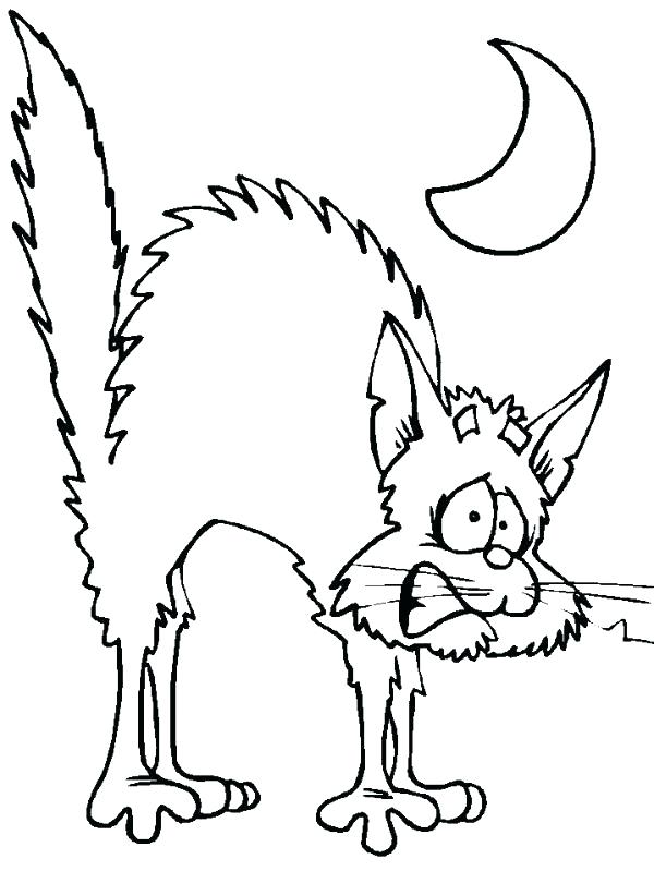Scared Cat Drawing at GetDrawings | Free download