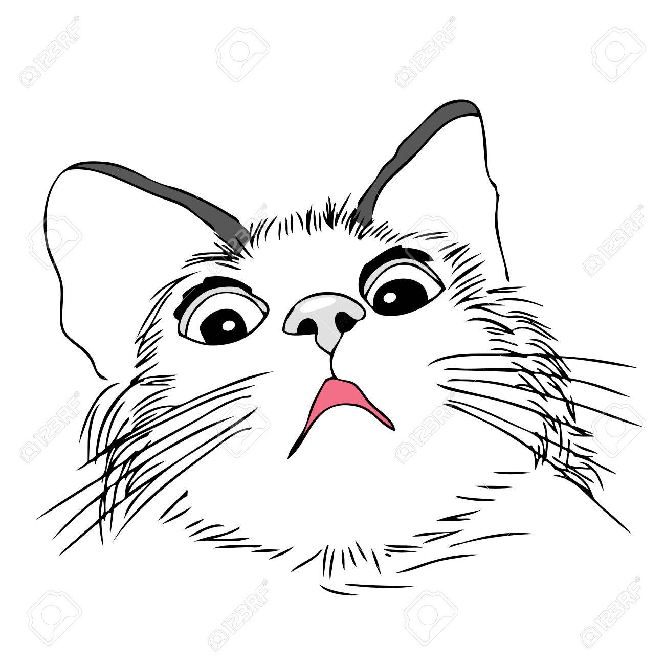 Scared Cat Drawing at GetDrawings Free download