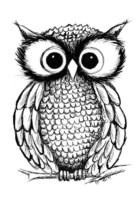 Scary Owl Drawing at GetDrawings Free download