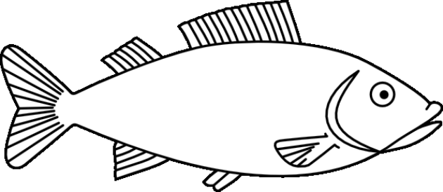 School Of Fish Drawing at GetDrawings | Free download