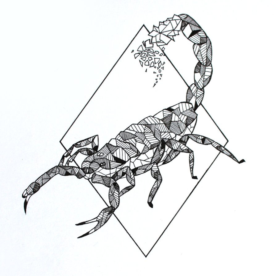 Графическое изображение скорпиона