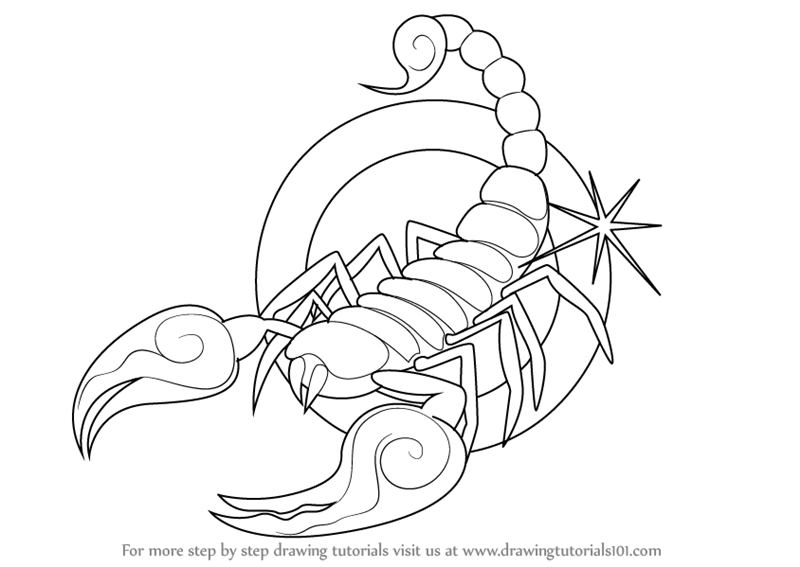 Scorpio Drawing at GetDrawings Free download