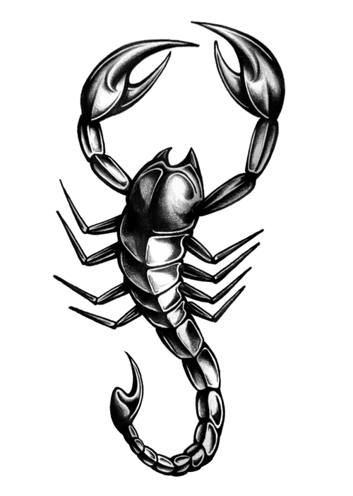 Scorpio Drawing at GetDrawings | Free download