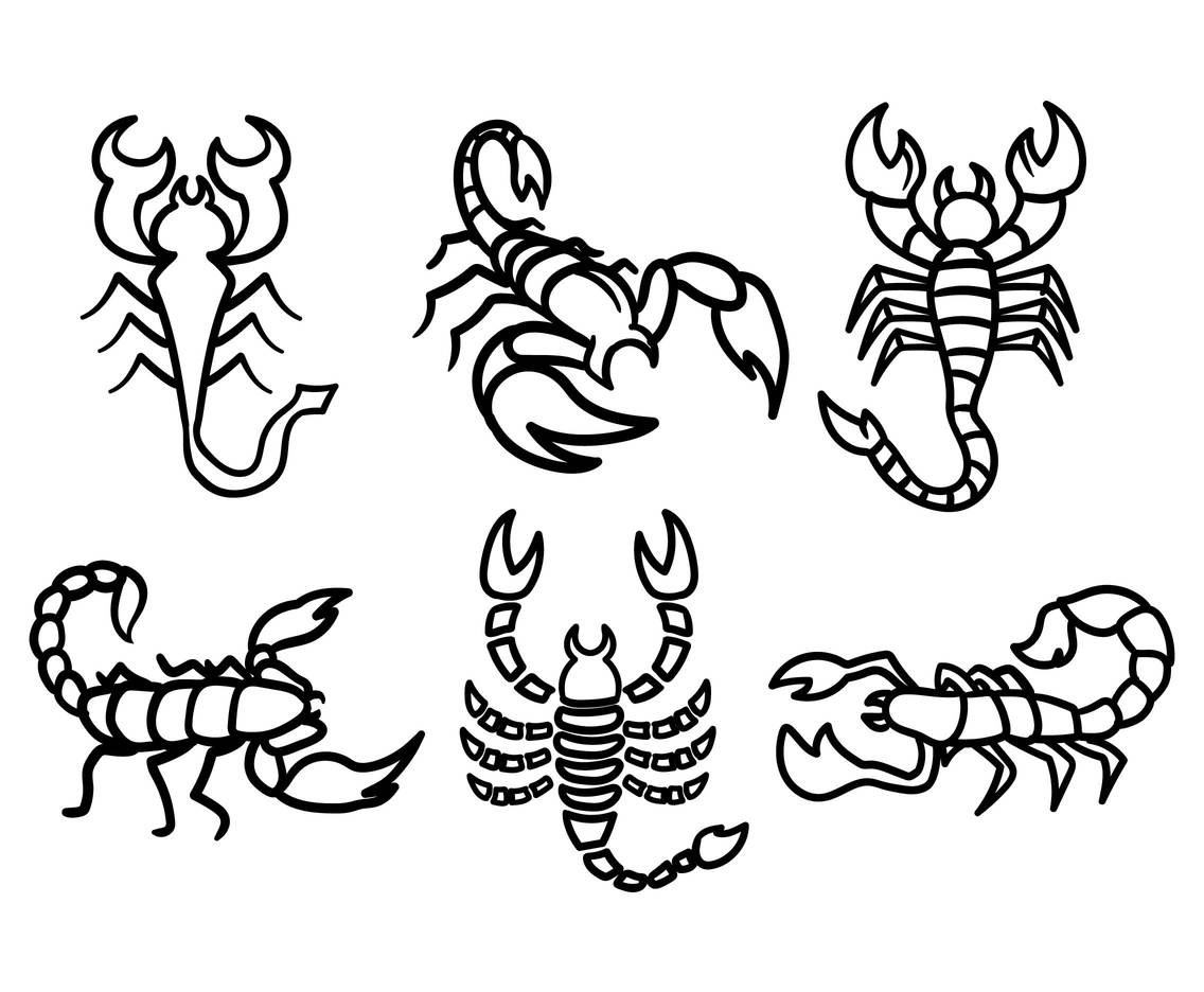 Scorpio Drawing at GetDrawings | Free download