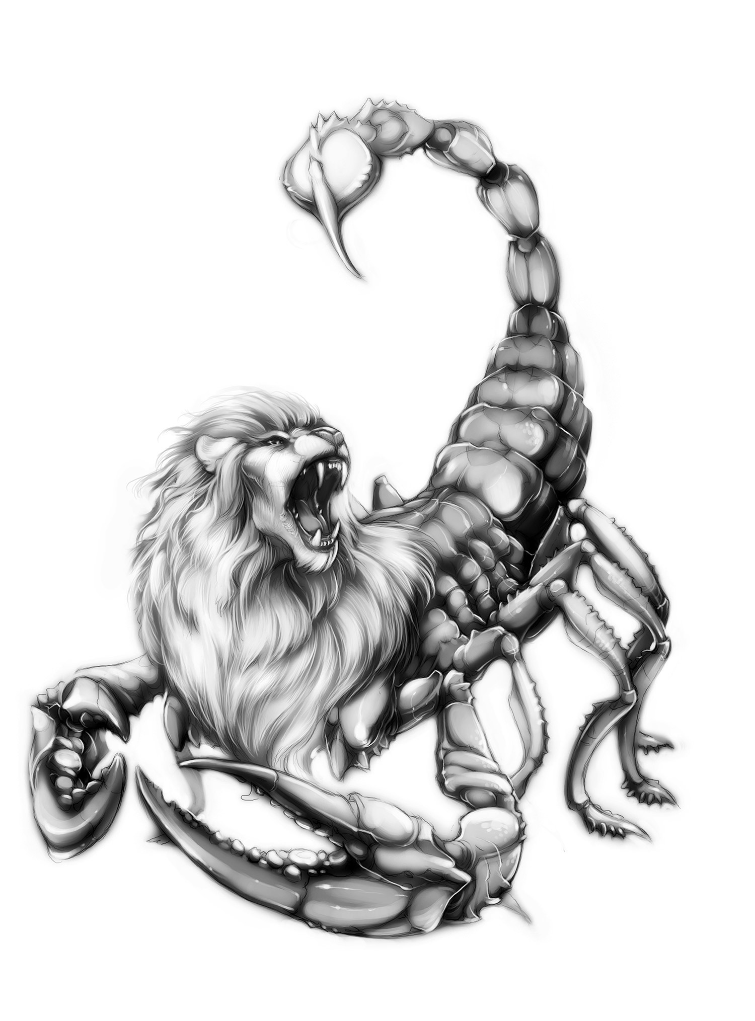 Scorpion Cartoon Drawing at GetDrawings | Free download