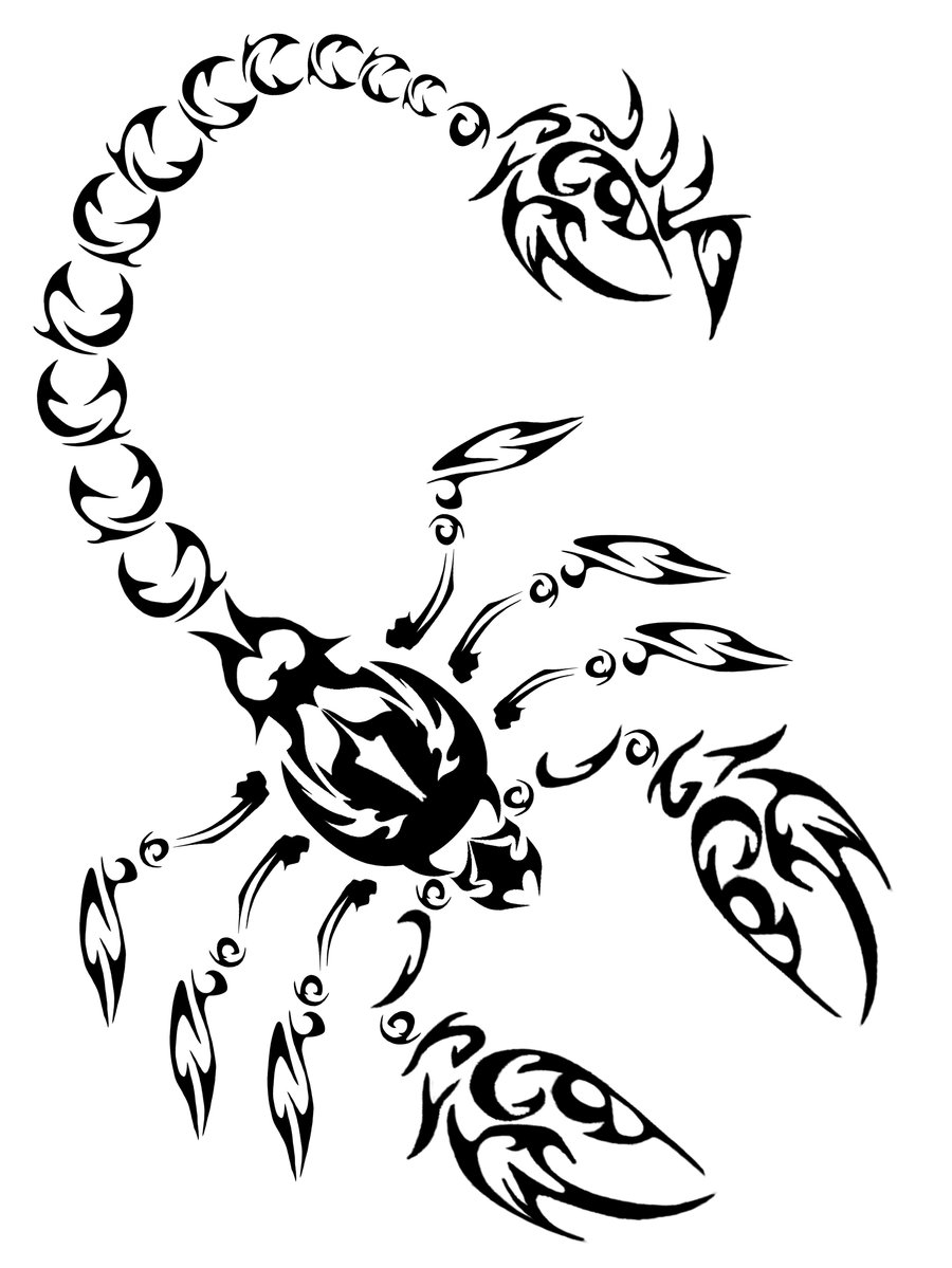 Scorpion Line Drawing At GetDrawings | Free Download