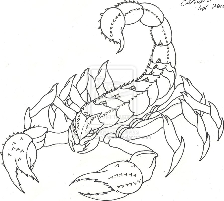 Scorpion Coloring Coloring Pages