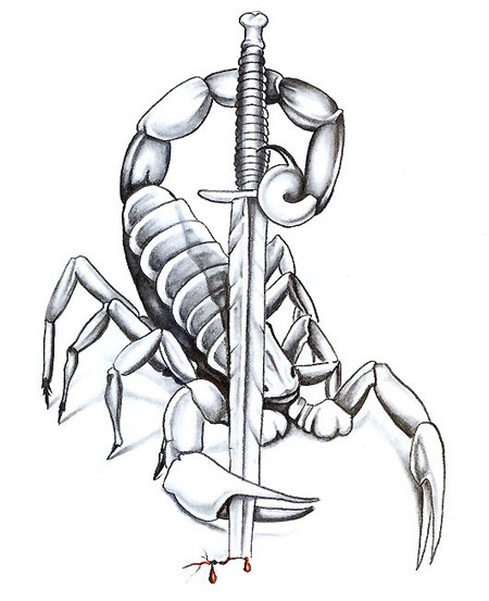 Scorpion Outline Drawing At Getdrawings Free Download