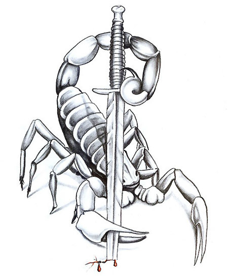 Scorpion Outline Drawing At GetDrawings | Free Download