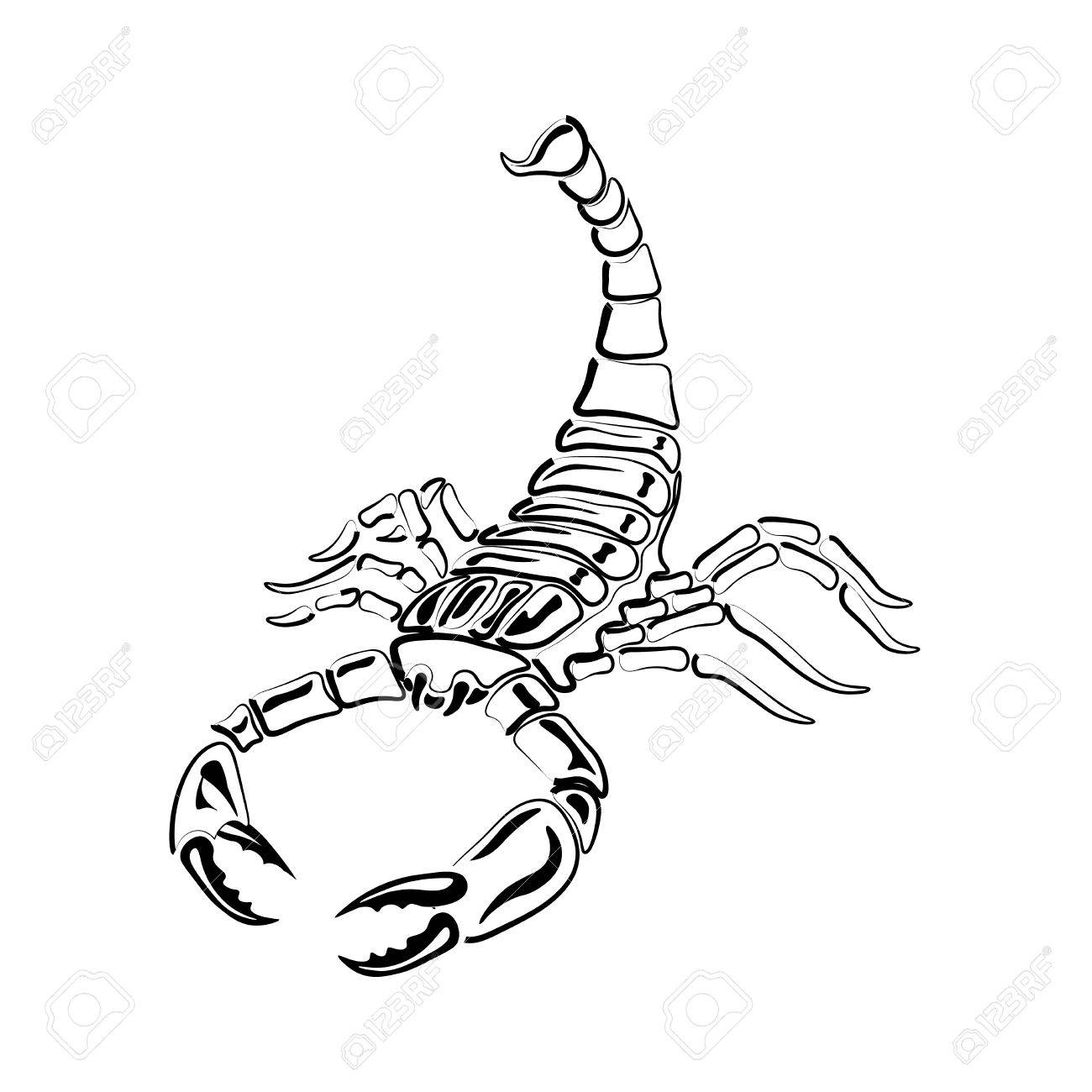 Scorpion Tail Drawing at GetDrawings | Free download