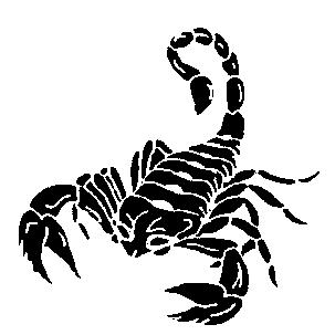 Scorpion Tattoo Drawing At GetDrawings | Free Download