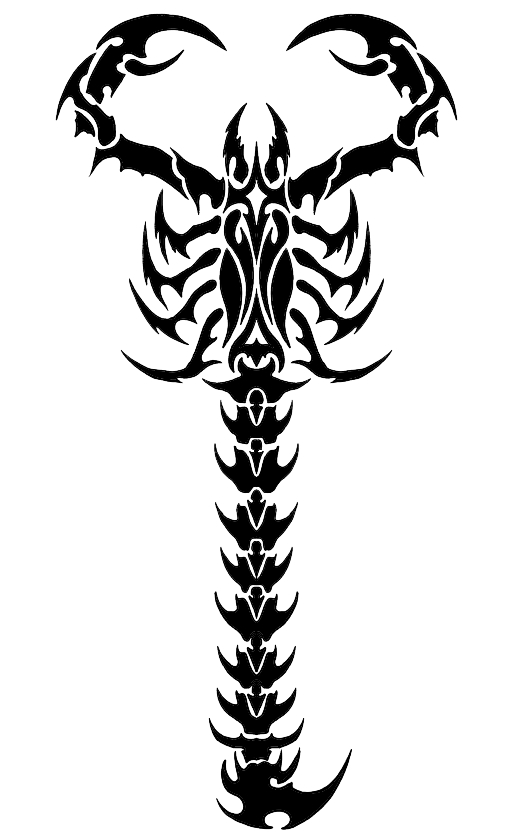 Scorpion Tattoo Drawing At GetDrawings | Free Download