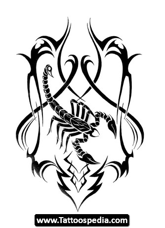 Scorpion Tattoo Drawing At GetDrawings | Free Download