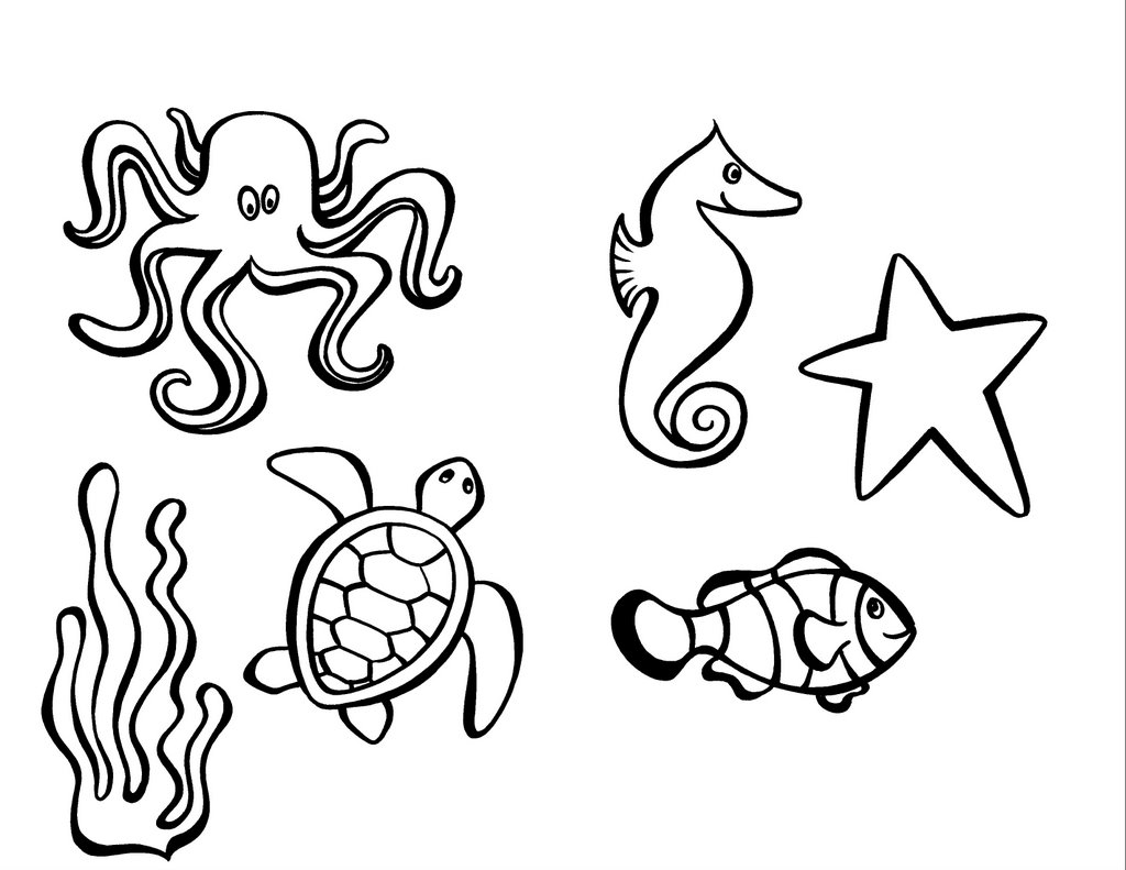 Easy Drawings Of Sea Animals - vrogue.co