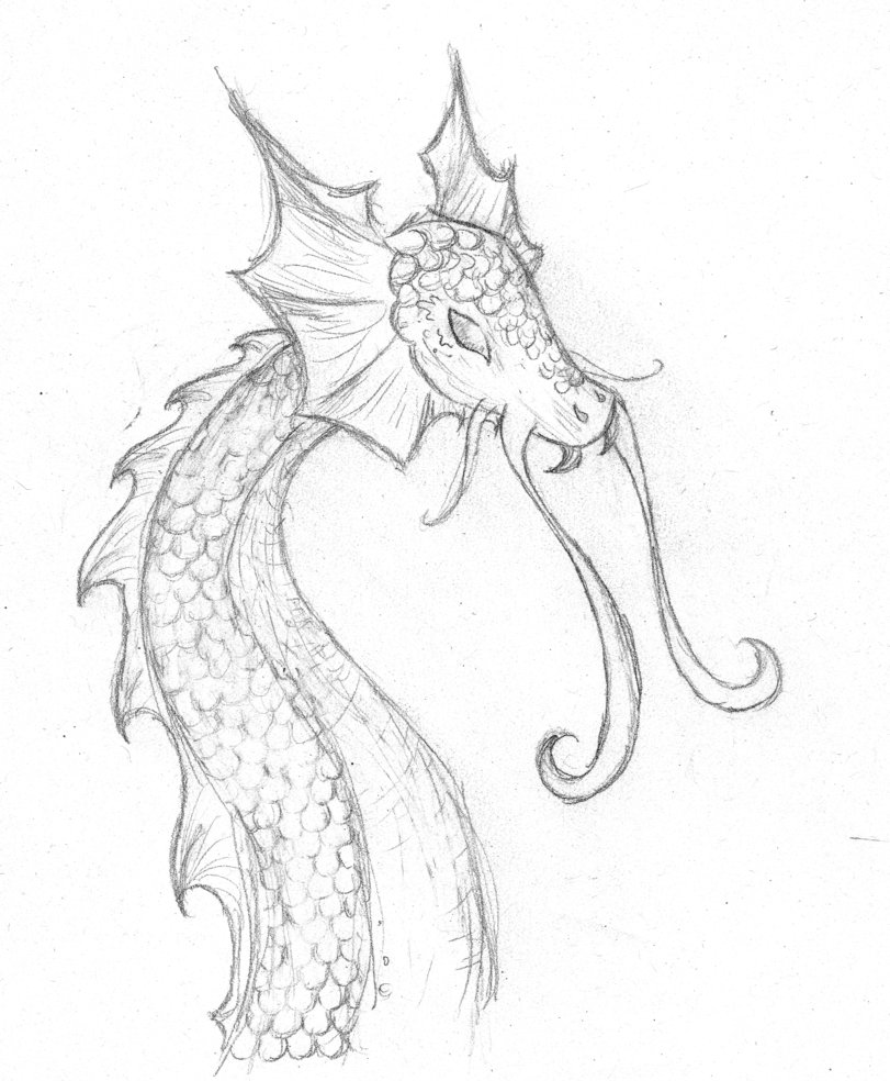 Sea Dragon Drawing at GetDrawings | Free download