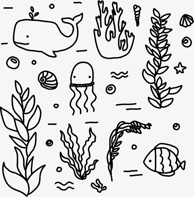 Sea Floor Drawing at GetDrawings | Free download