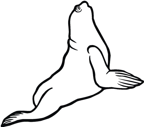 Sea Lion Drawing For Kids at GetDrawings | Free download