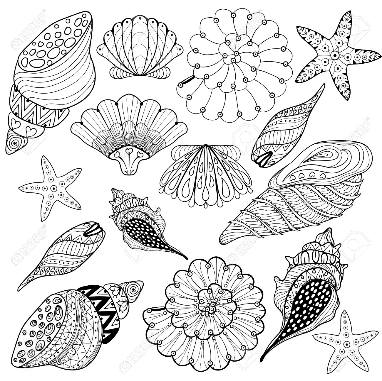 Amazing How To Draw Shells of all time Don t miss out 