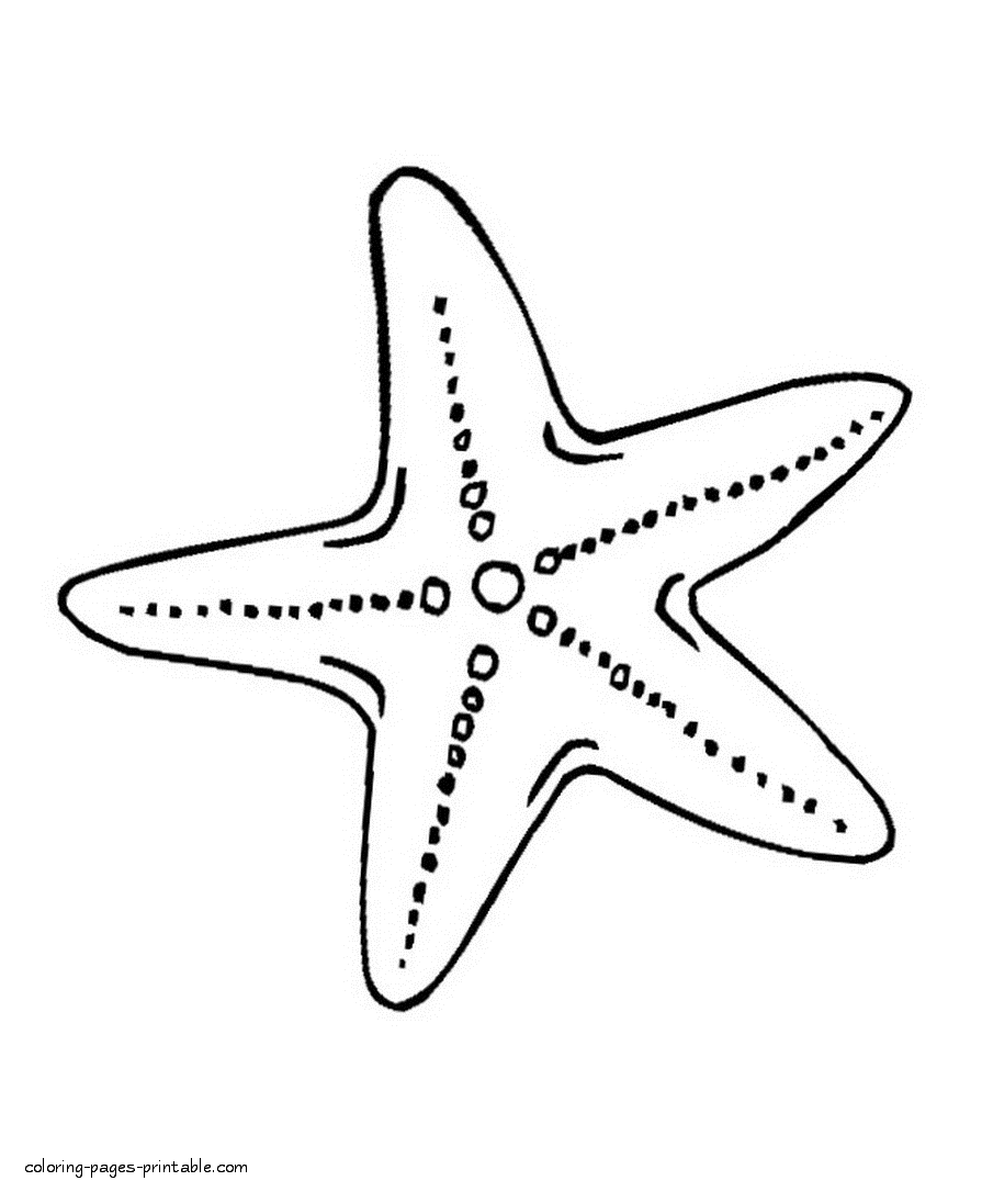 Sea Star Drawing at GetDrawings Free download