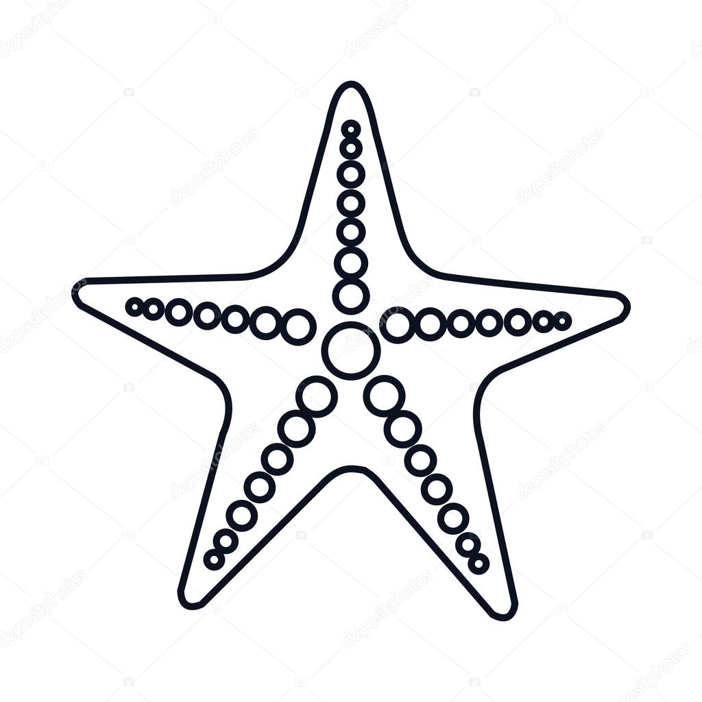 Echinoderm Starfish Anatomy Labeled Sketch Coloring Page