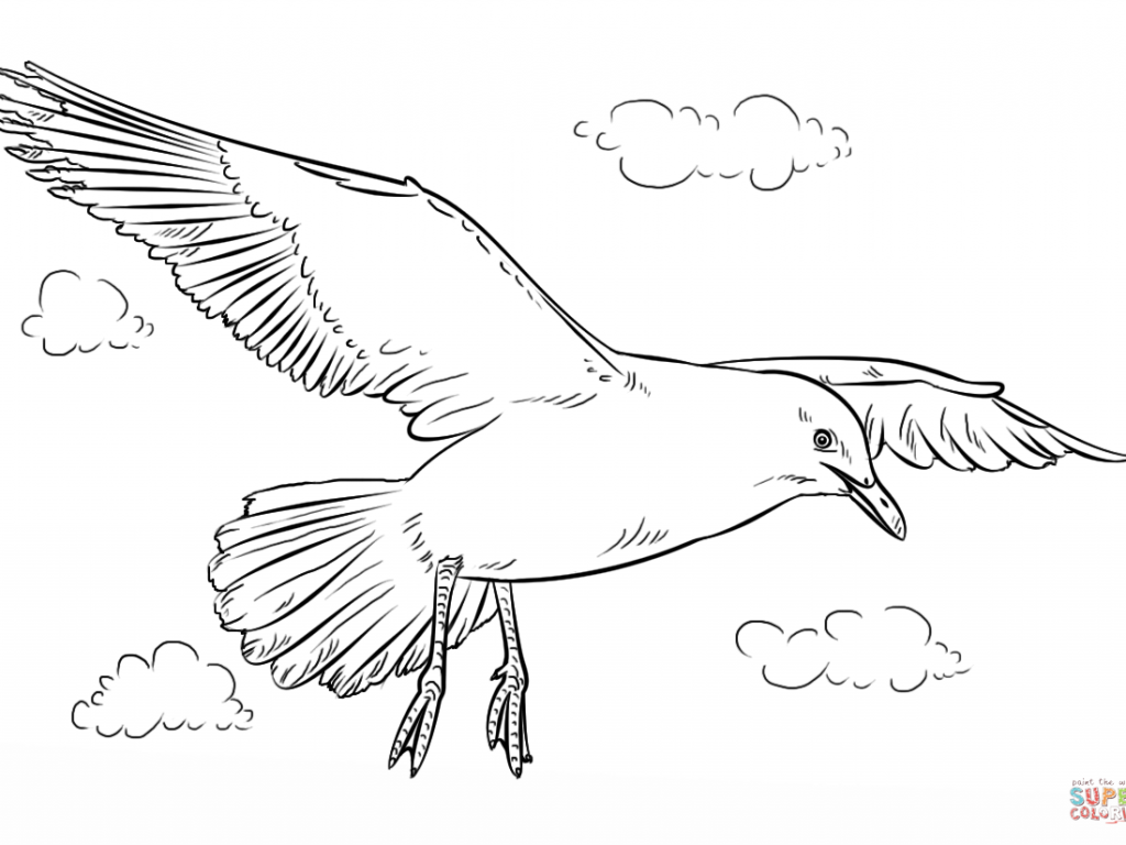 Seagulls Drawing at GetDrawings | Free download