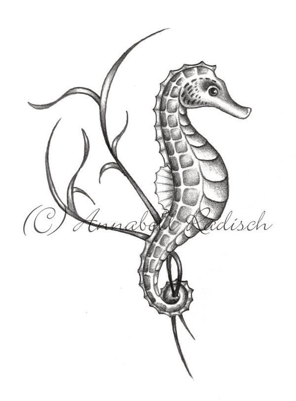 Seahorse Drawing at GetDrawings Free download