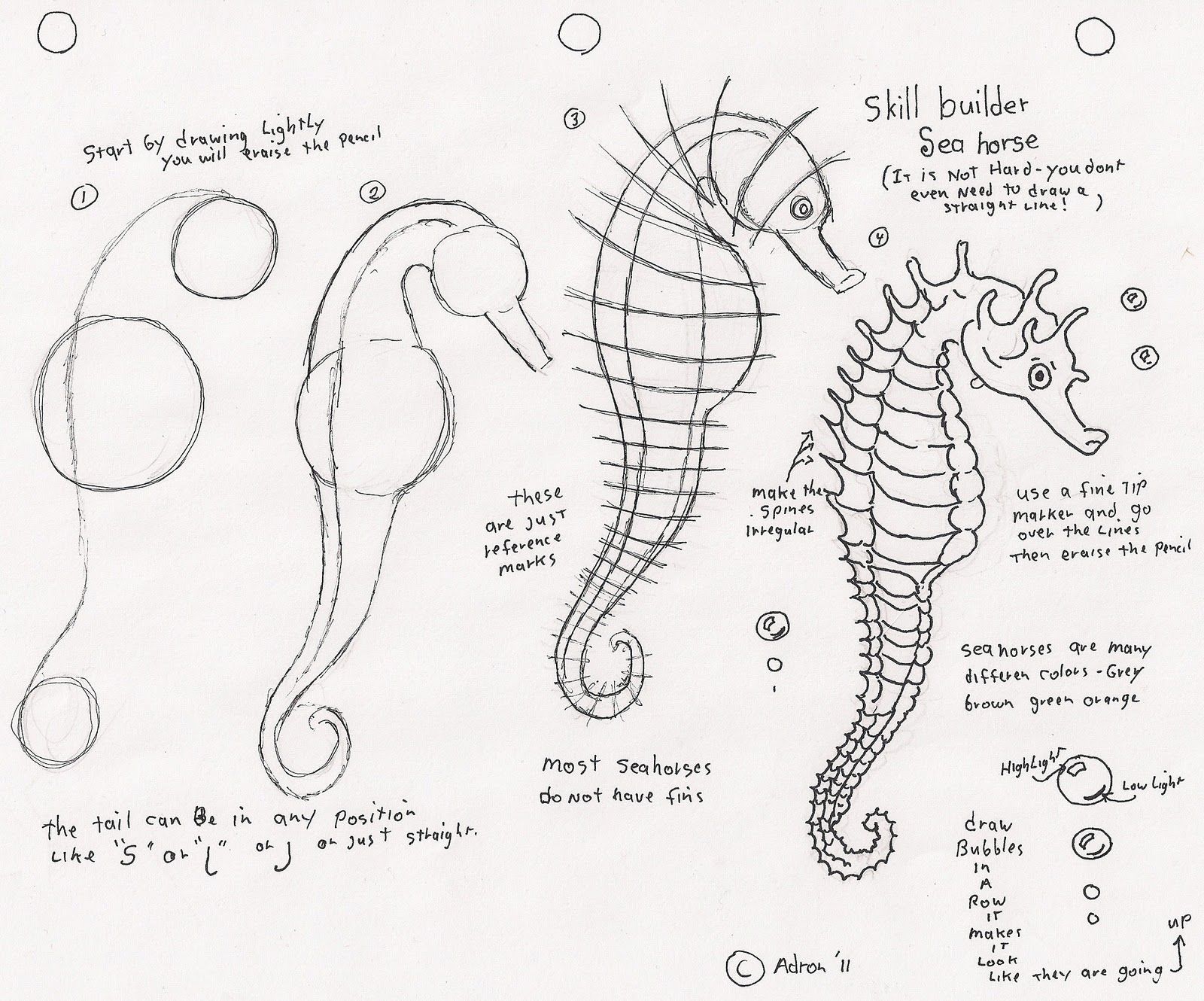 Seahorse Drawing Easy at GetDrawings | Free download