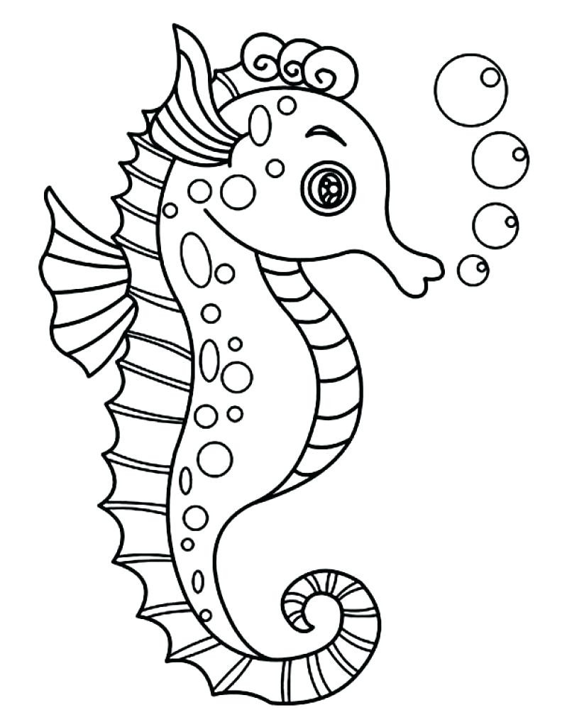 Seahorse Drawing Outline at GetDrawings Free download