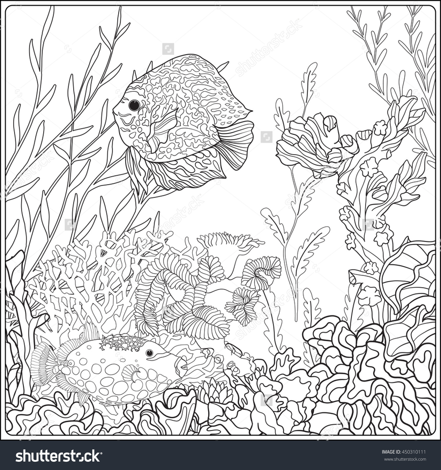 Seaweed Underwater Drawing at GetDrawings | Free download