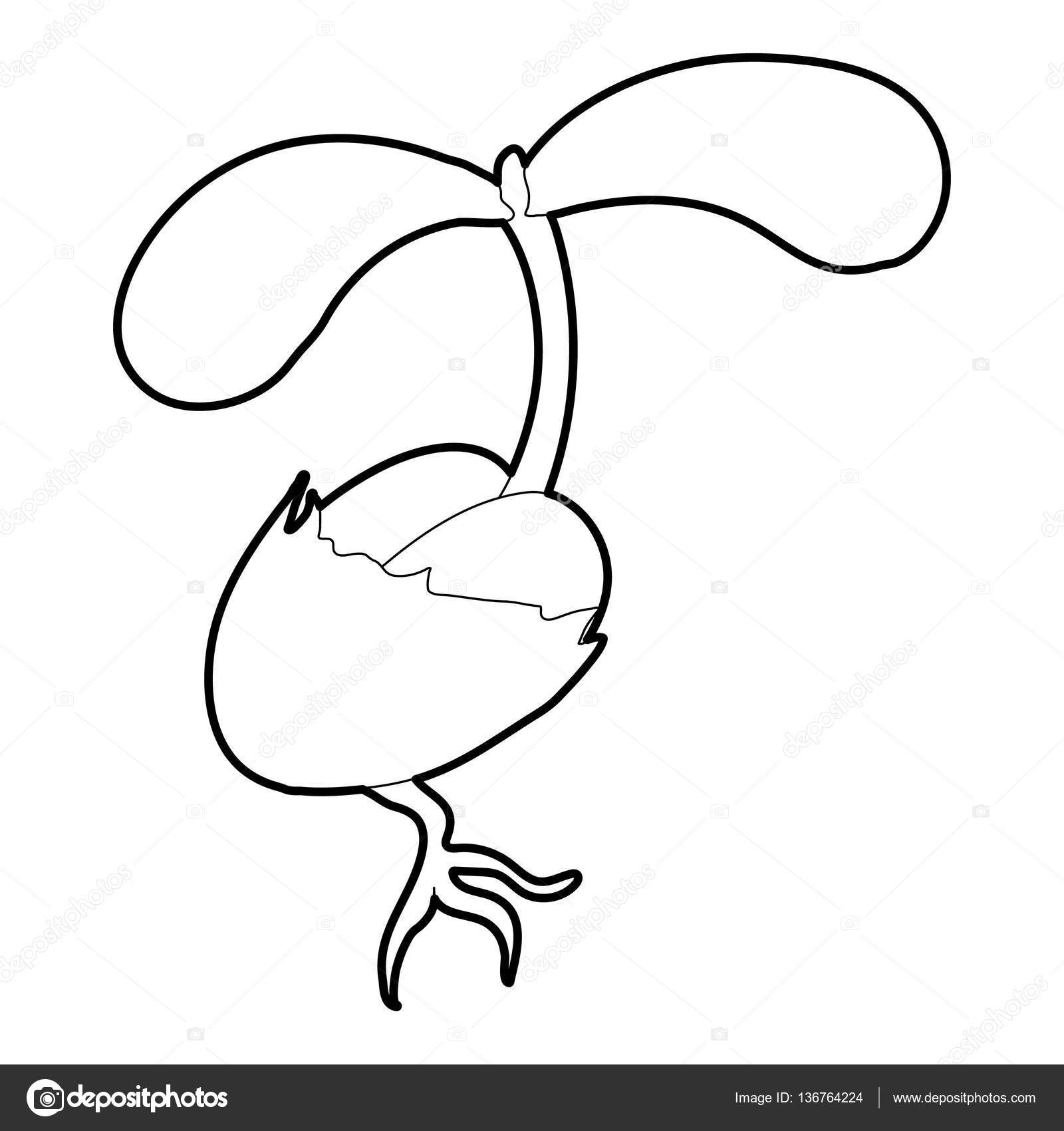 Seedling Drawing at GetDrawings | Free download