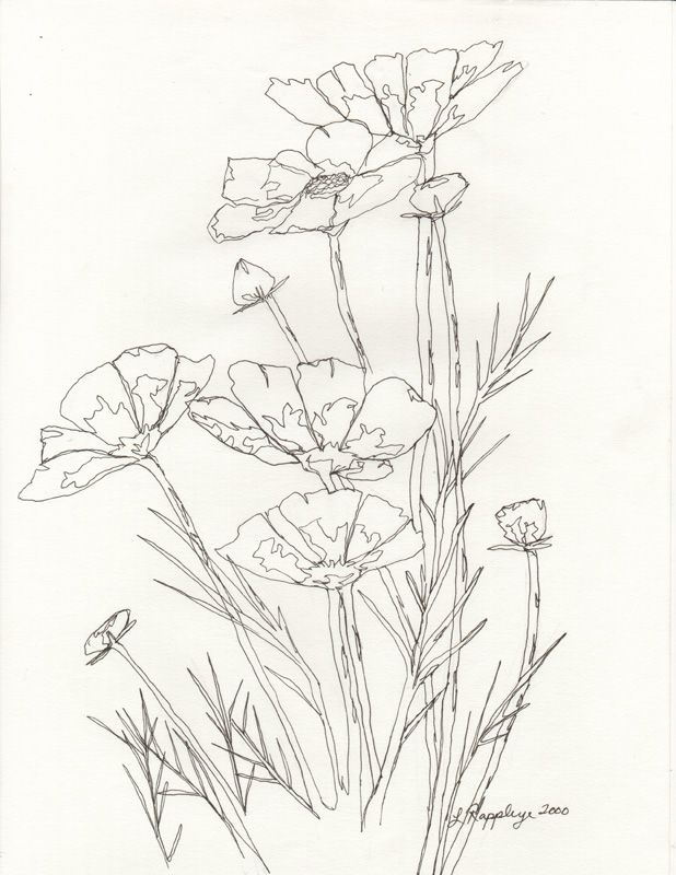 Shading Drawing Of Flowers At Getdrawings Free Download