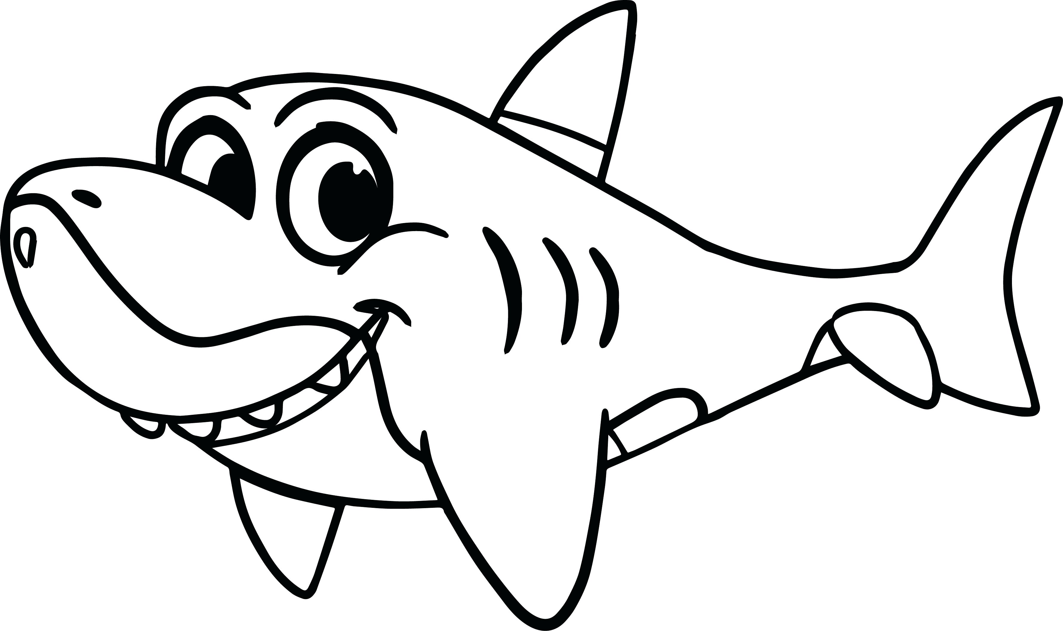 shark-drawing-template-at-getdrawings-free-download
