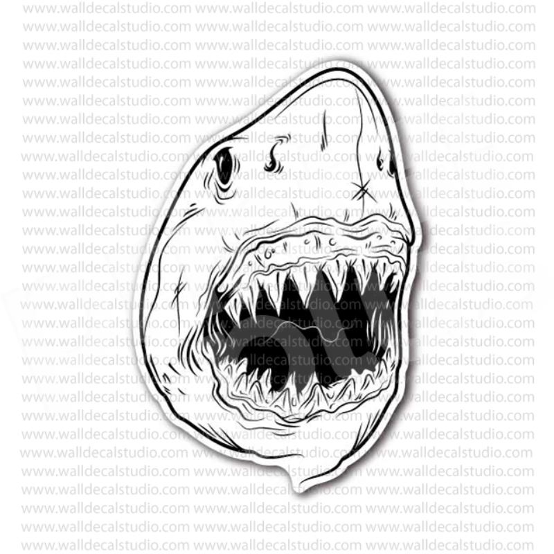 Shark Head Drawing at GetDrawings Free download