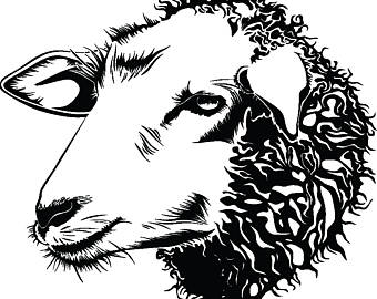 Sheep Face Drawing at GetDrawings | Free download