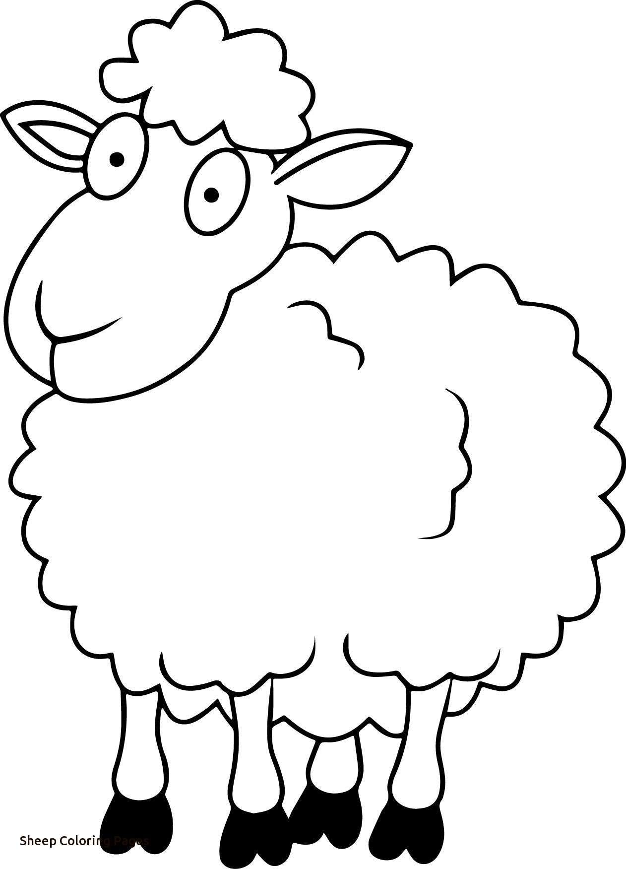 Sheep Outline Drawing At GetDrawings Free Download